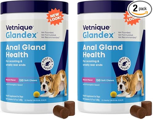 Glandex Anal Gland Soft Chew Treats with Pumpkin for Dogs Digestive Enzymes, Probiotics Fiber Supplement for Dogs Boot The Scoot (Bacon Flavor Chews, 120 Count) (Pack of 2)