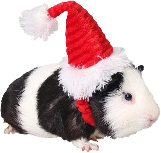 Christmas Hamster Hats Guinea Pig Costume Mini Santa Hat for Kitten Chinchilla Rabbit Bunny Hedgehog Ferret Squirrel Rats Duck Newborn Puppy…