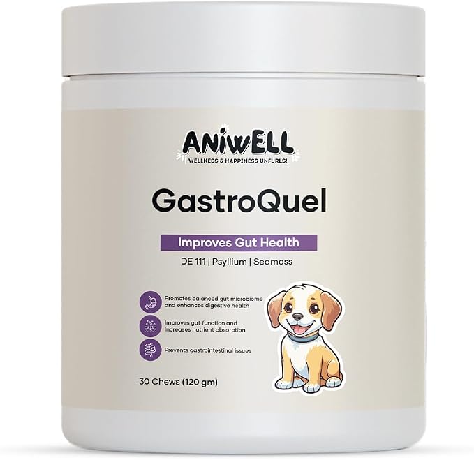 GastroQuel Dog Probiotic Chews – Gut Health, Occasional Diarrhea & Digestive Support | Probiotics for Dogs, Kaolin & Pectin | Yeast Infection Support & Anti Diarrhea for Dogs