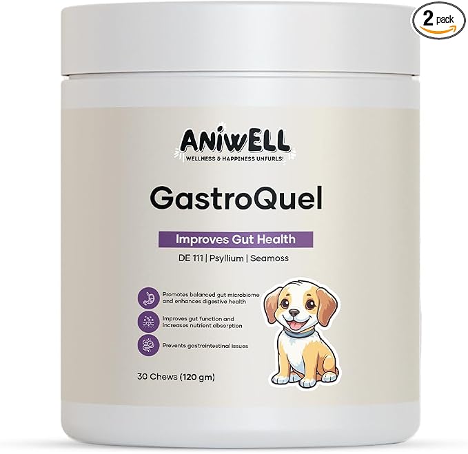 GastroQuel Dog Probiotic Chews – Gut Health, Occasional Diarrhea & Digestive Support | Probiotics for Dogs, Kaolin & Pectin | Yeast Infection Support & Anti Diarrhea for Dogs | Pack of 2