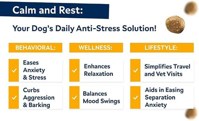 STRELLALAB Hemp Chews for Dogs - Bundle of Hip and Joint + Calming Supplement - Joint Pain & Anxiety Relief Treats - Advanced Mobility Support - Made in USA (Pack of 2, 240Ct)