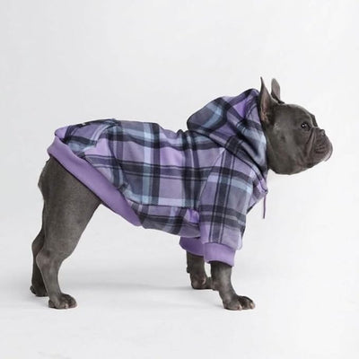 Spark Paws Dog Hoodie – Premium Dog Sweater for Small, Medium, and Large Dogs | Warm Outfits for French Bulldogs, Pitbull, Puppy, Winter Jacket Alternative - Purple Plaid - L