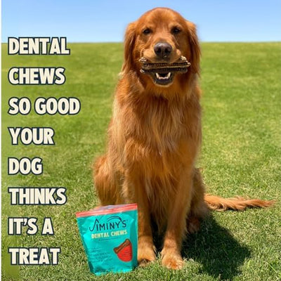 Jiminy's Dental Chews for Dogs, Cinnamon Flavor, Scientifically Proven to Improve Oral Health, Dental Bones Clean Teeth, Fight Bad Breath, and Removes Plaque and Tartar, Large, 7ct (Pack of 6)