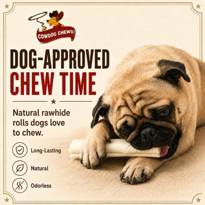 Cowdog Chews 5-6 Inches Rawhide Retriever Roll - Chewing Dog Treat, 100% Natural - Natural Grass Fed Livestock Sourced (10 Pack)