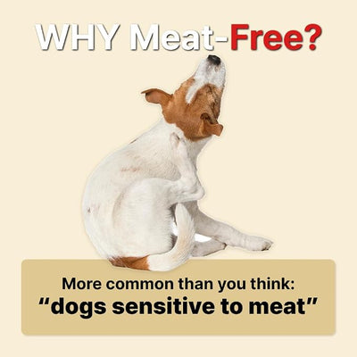 Low Calorie Dog Training Treats with Goat Milk & Strawberry, Soft Healthy Rewards, Easy to Digest
