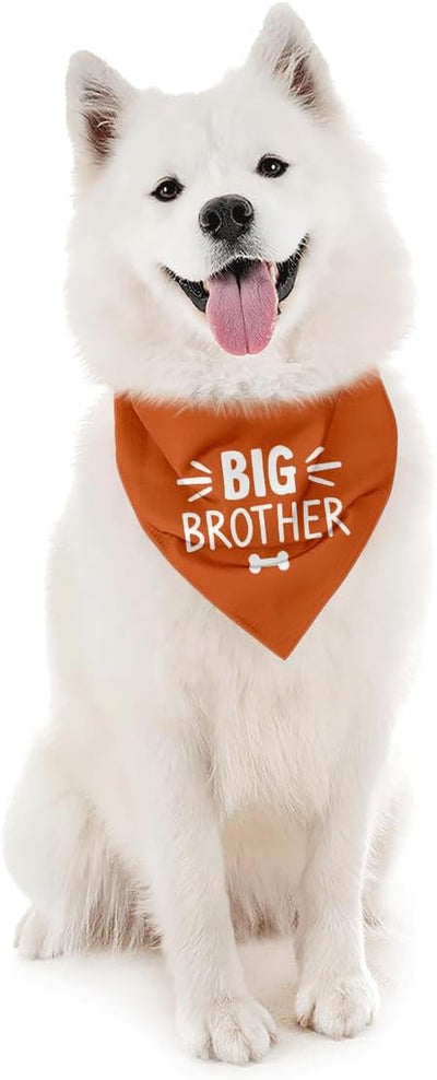 Big Brother Dog Bandana, Orange Pet Dog Scarf Accessories, Pregnancy Announcement Big Brother Baby Reveal, Pet Dogs Triangle Scarf, Dogs Bandana for Small Medium