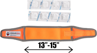 CoolerDog Hi-Vis Cooling Dog Collar for Small Dogs – Reflective Re-Freezable Ice Collar for Hot Weather & Heat Relief (Orange, Small)