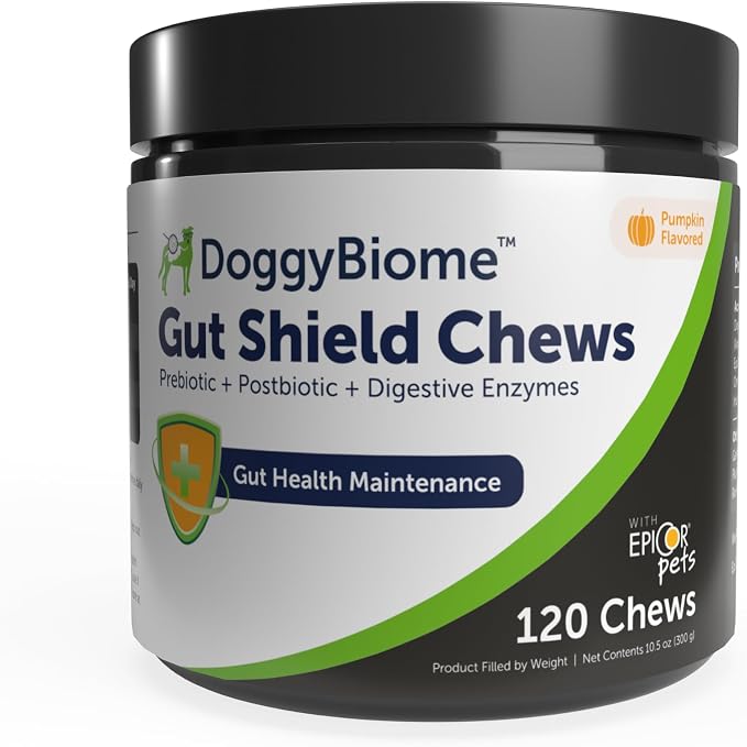 Gut Shield Soft Chews – DoggyBiome 6-Strain Probiotic Chews for Dogs & Cats, Digestive Support Supplement, Dog Probiotic, Postbiotic, and Digestive Enzime Blend, Pumpkin Flavor, 120 Count