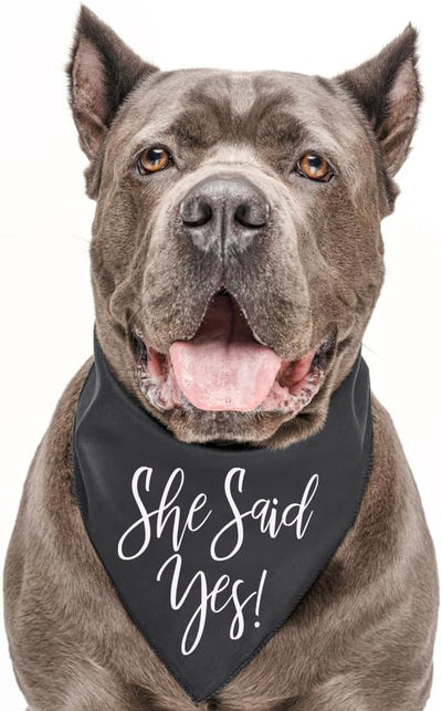 She Said Yes! Dog Bandana | 100% Cotton Triangle | Made in USA | Wedding Photo Prop | Bridal Shower | Engagement Announcement | Baby Pink, One Size (332)