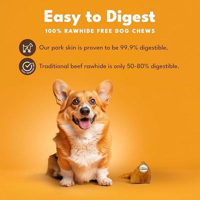 Pork Chomps Roasted Pork Skin Dog Chews, 5-inch Ear Shapes, 1.44 Ounce (Pack of 4)