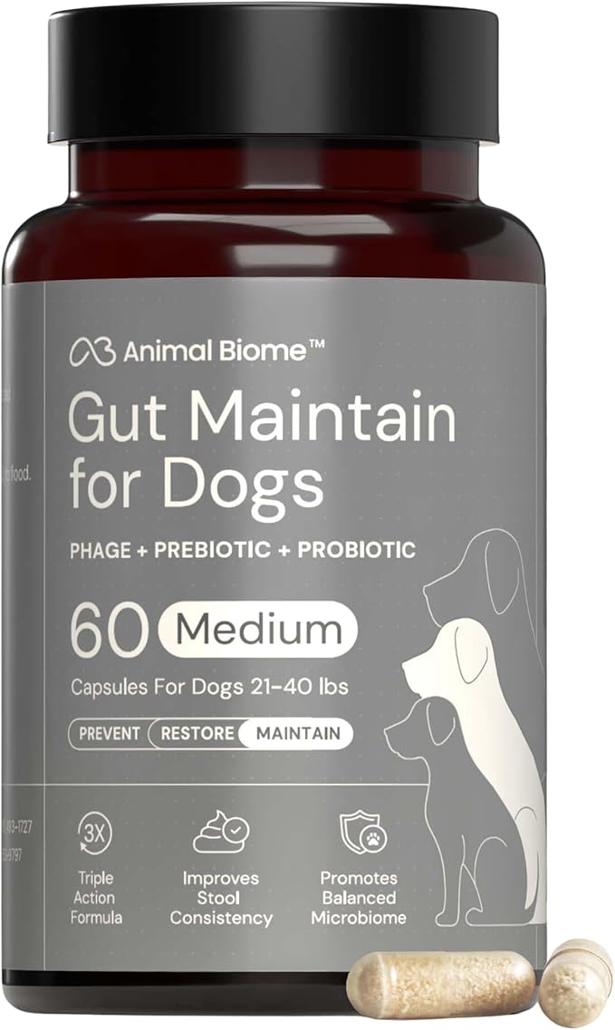 Probiotics for Dogs with S Boulardii, Gut Maintain (60 Capsules) – Triple-Action Medium Dog Probiotics, Prebiotics & Phage Supplements for Gut Health, Firmer Stool & Diarrhea Support
