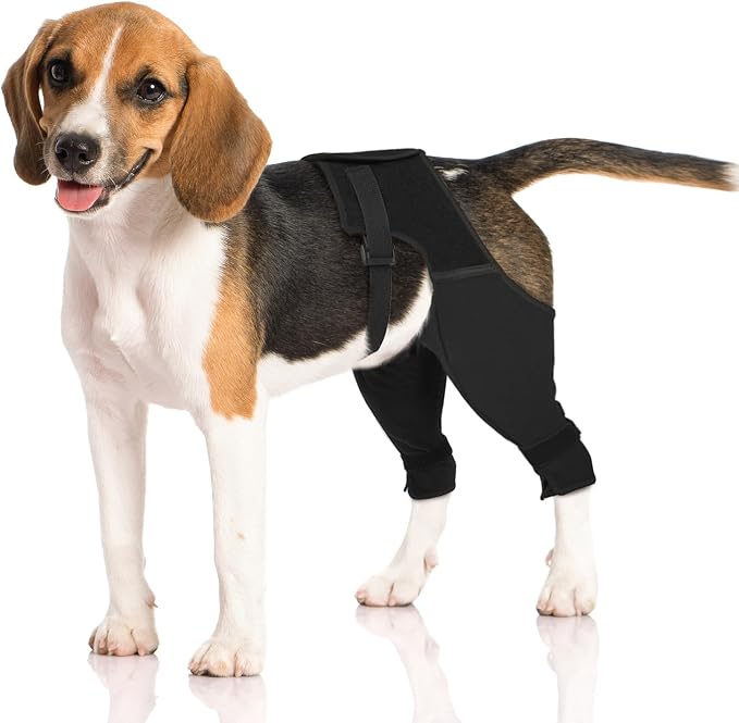 Dog Rear Leg Sleeve to Stop Licking, Breathable Anti-Slip Recovery Sleeve Pants for Wound Protection After ACL/TPLO Surgery, Hot Spots, Lick Granulomas–Cone Alternative for Leg Healing,M