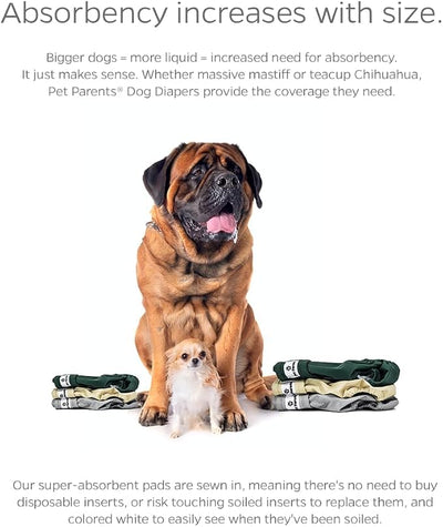 Pet Parents® Washable Dog Diapers (3pack) + Extendrs® of Durable Doggie Diapers, Premium Dog Diapers Female (X-Small, Spruce)