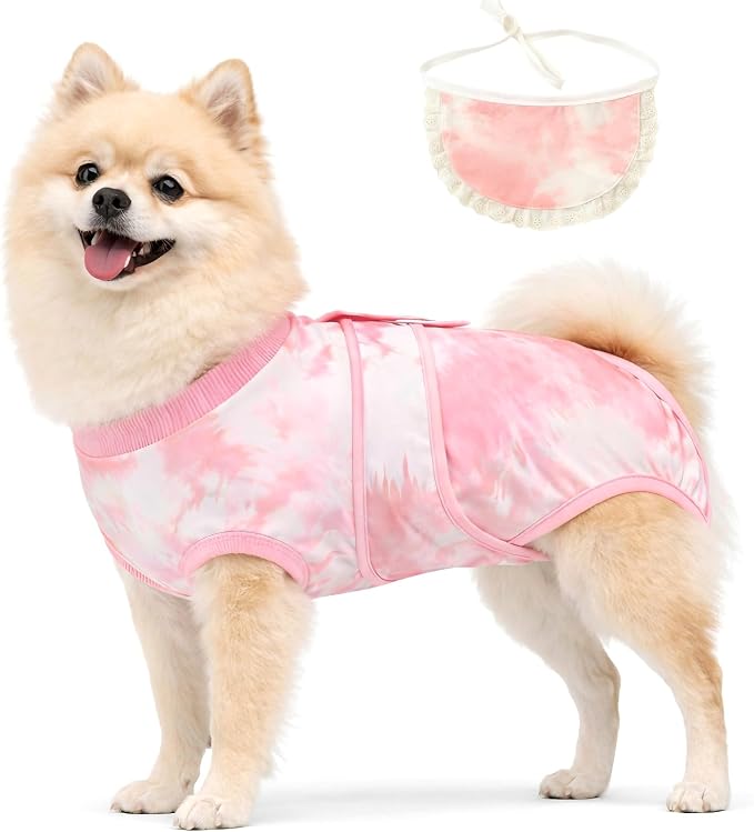 Surgery Recovery Suit for Female/Male Dog After Spay/Neuter, Soft Bandana Set Included, E-Collar Cone Alternative to Stop Licking Abdominal Wounds, Small Dogs Full Body Onesies, Medical Pet Bodysuit