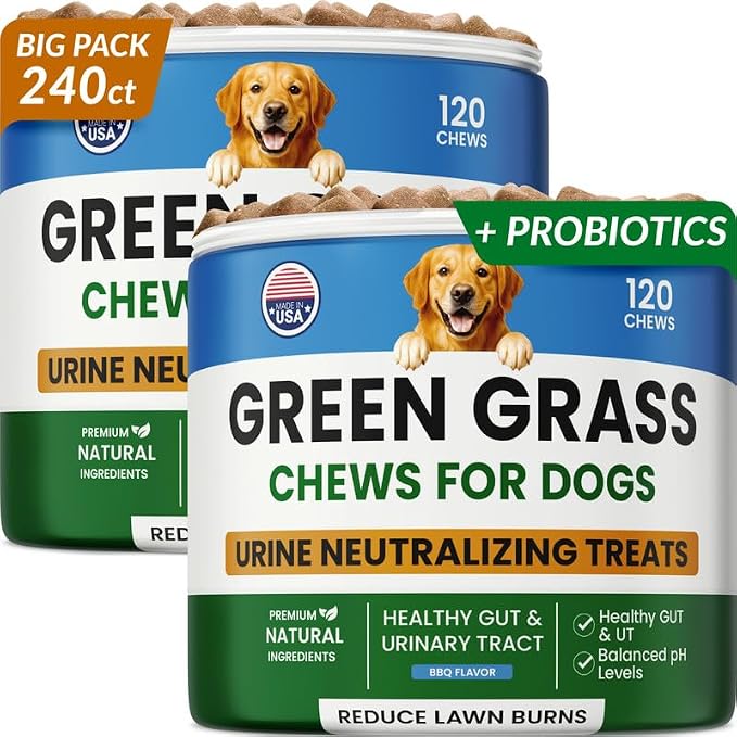 Green Grass Dog Chews with Probiotics – Lawn Burn Support – Dog Urine Neutralizer for Grass – Pee Spot Control – Gut & Urinary Health – 240Ct