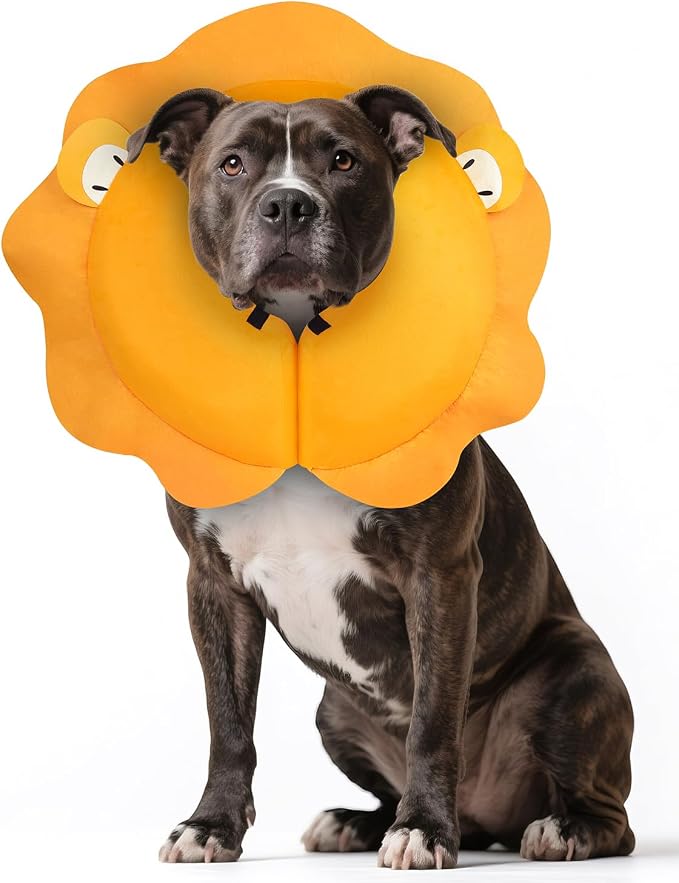 MIDOG Inflatable Dog Cone Collar, Cute Lion Mane Recovery Collar for Large Medium Dogs, Soft Blow-Up Donut Alternative After Surgery, Anti-Lick Protective Neck E-Collar (L, 15"-20")