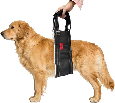 Dog Lift Harness - Cover Geny Adjustable Sling for Rear Legs with Soft Support for Senior, Injured, Disabled Dogs After ACL Surgery - Helping Pets with Canine Aid and Rehab Support (XL)