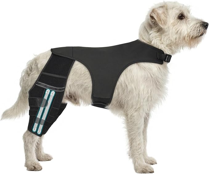 Adjustable Dog Knee Brace for ACL Tear and Arthritis Recovery - Dual Hind Leg Support with Harness Connection - Orthopedic Leg Brace for Joint Stability and Pain Relief in Dog (Small)