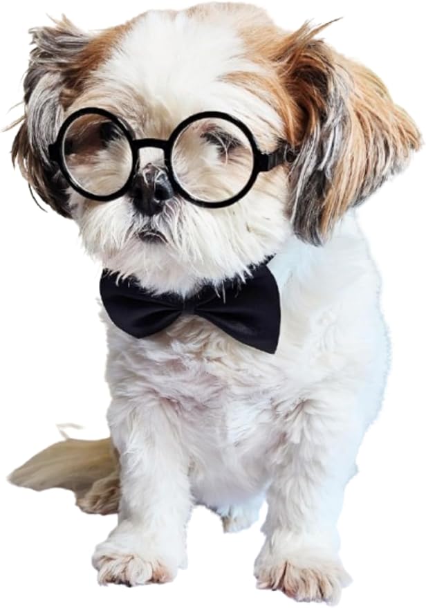 C25 Dog Pet Costume Set Sunglasses + Bow Tie for Small Breed up to 15lbs Adjustable Party Prop Cosplay Photoshoot (Sm Dog up to 15 LBS Round Black-Clear Lens +Black Bow tie)