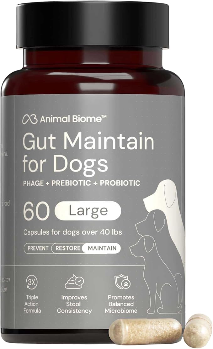 Animal Biome Probiotics for Dogs with S Boulardii, Gut Maintain (60 Capsules) – Triple-Action Large Dog Probiotics, Prebiotics & Phage Supplements for Gut Health, Firmer Stool & Diarrhea Support