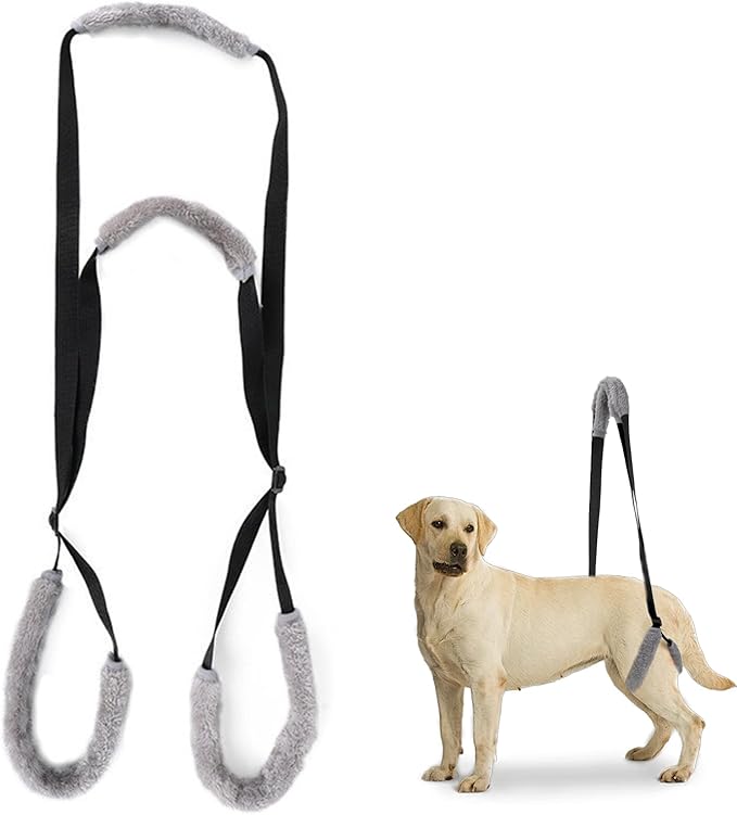 Sling for Dogs Back Legs Rear Support Harness for Paralyzed or Handicapped Pets Assistance Lift Slings for Hind Leg Mobility Small Dog Handicap Supplies for Joint Injuries and Stability Black