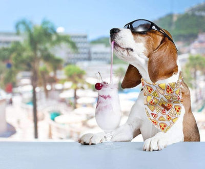 Unique Style Paws 1PCS Dog Bandanas Washable Cotton Square Bibs Sarf, Adjustable Dog Kerchief for Small Medium Large Dogs and Cats