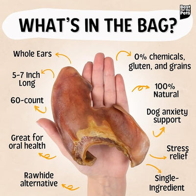 Best For My Pets Pig Ears for Dogs (Whole, 60 Pack), Healthy, Highly Digestible All Natural Pigs Ears Long-Lasting Dog Chews, Pork Dog Chew Treat Bulk