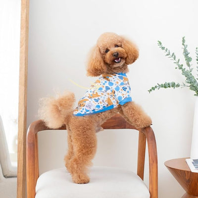 Pippo's Shop 2 Pack Dog Shirt Premium Peruvian Cotton, Fashionable and Cute Pet Apparel, Lightweight Stretch Puppy Soft Breathable T-Shirt (Bee & Pup-Boy Pack, Small)