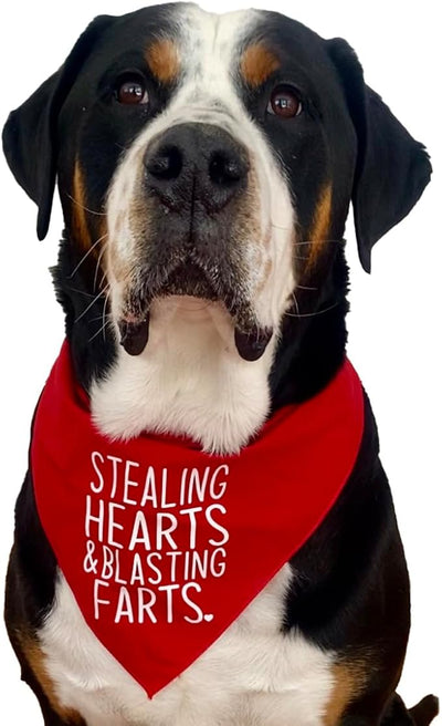 Stealing Hearts & Blasting Farts Dog Bandana (Hot Pink)