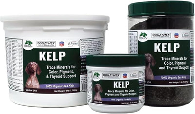 Dogzymes Organic Norwegian Kelp for Pets, a Valuable Nutrition Source Rich in Iodine to Support Gland Function, Especially The Thyroid (6 Pound)