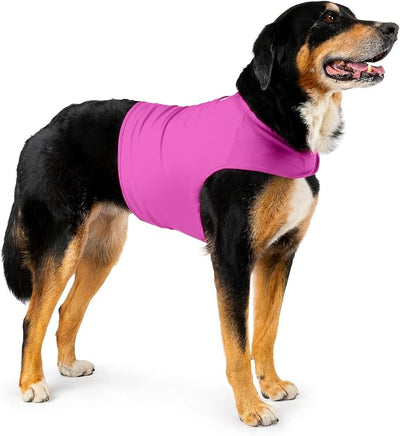 Dog Anxiety Calming Wrap, X-Large, Radiant Orchid