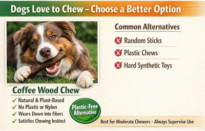 Coffee Wood Dog Chew - Natural Stick for Moderate Chewers, Safe Alternative to Nylon & Plastic, Large