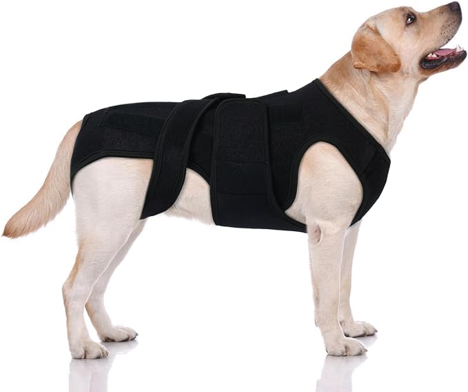 Post-Op Spinal Stability Wrap for Giant Dogs - Extra Long Spinal Stability Brace with 5 Plastic Support Strips, Breathable & Adjustable for Less Mobile Large Breed Dogs, Black 2XL