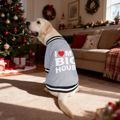 Cute Dog Sweater - Stretchy Dog Pullover Sweatshirt,Soft and Warm Winter Clothes for Boy & Girl Dogs,Suitable for Puppies & Adult Dogs (Light Grey (House), Medium)