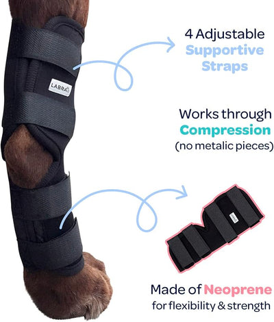 Labra Dog Rear Leg Hock Joint Compression Wrap - Supportive Brace for Weak Back Legs, ACL Tear, and Joint Discomfort - Adjustable Hind Leg Support for Senior Dogs - Small