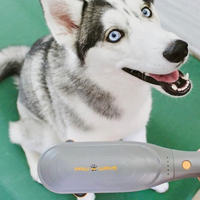 PAW WAVE PERK Percussion Pet Massager for Dogs and Cats Designed to Help Massage Muscle Tightness, Improve Mobility and Recovery