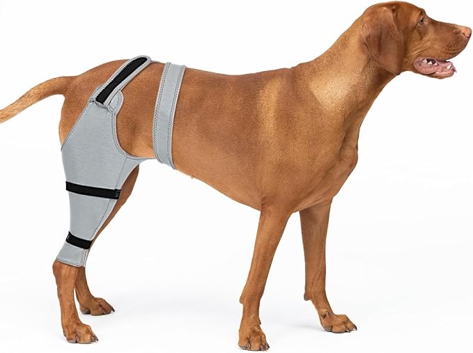 Dog Rear Leg Sleeve to Stop Licking, Hind Leg Protector After TPLO Recovery, ACL Surgery, Wounds or Skin Issues, Soft Breathable Comfortable Cover for Large Medium Small Dogs, L,Left, Black-Gray