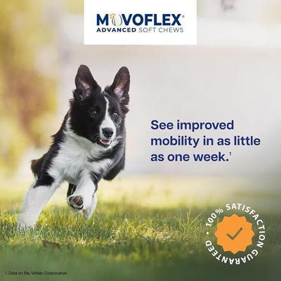 MOVOFLEX Advanced Soft Chews Hip Joint Support Supplement for Large Dogs - 60 Count by Virbac