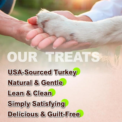 A Freschi srl Turkey Tendons for Dogs, USA-Sourced, Healthy Dog Treats, Rawhide-Free Puppy Chews, Long Lasting, All Natural, Hypoallergenic Dog Treats, Coil (S), 3 oz Pack