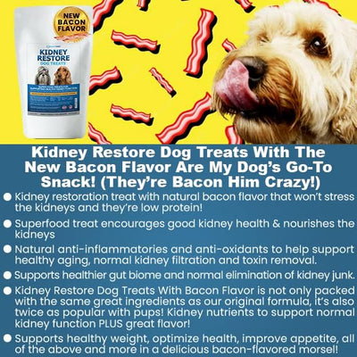 Kidney Restore Bacon Flavor Dog Treats: Low Protein Treats for Dogs, Kidney Function for Dogs, Renal Friendly Low Protein