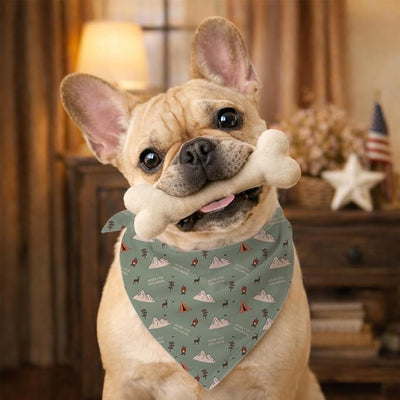 Adventure Themed Dog Bandana, Never Stop Exploring Hiking Pet Scarf, Outdoor Pets Accessory Bandana for Small and Medium Dogs, Adjustable Triangle Dog Scarf