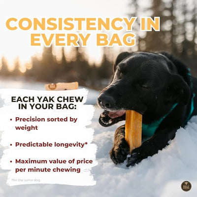 Bully Bunches Extra Large Authentic Yak Cheese Himalayan Chews for Large Dogs & Aggressive Chewers - All Natural Dog Treat Dental Chews, Made with Real Yak Milk - Lactose & Rawhide Free (6 PK)
