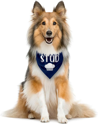 Stud Muffin Dog Bandana, Pet Scarf Accessories for Small Medium Dogs Cats Photo Prop, Funny Pet Bandana, Blue Dog Bandanas, Perfect Birthday for Dogs Lovers