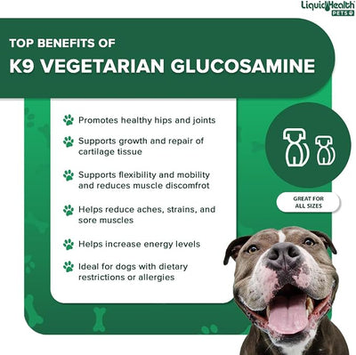 LIQUIDHEALTH 128 Oz K9 Vegetarian Liquid Glucosamine for All Dogs Canines - Chondroitin, MSM, Omega 3, Anti Oxidants Hyaluronic Acid – Joint Health, Dog Vitamins Hip Joint Juice, Joint Oil - 1 Gallon