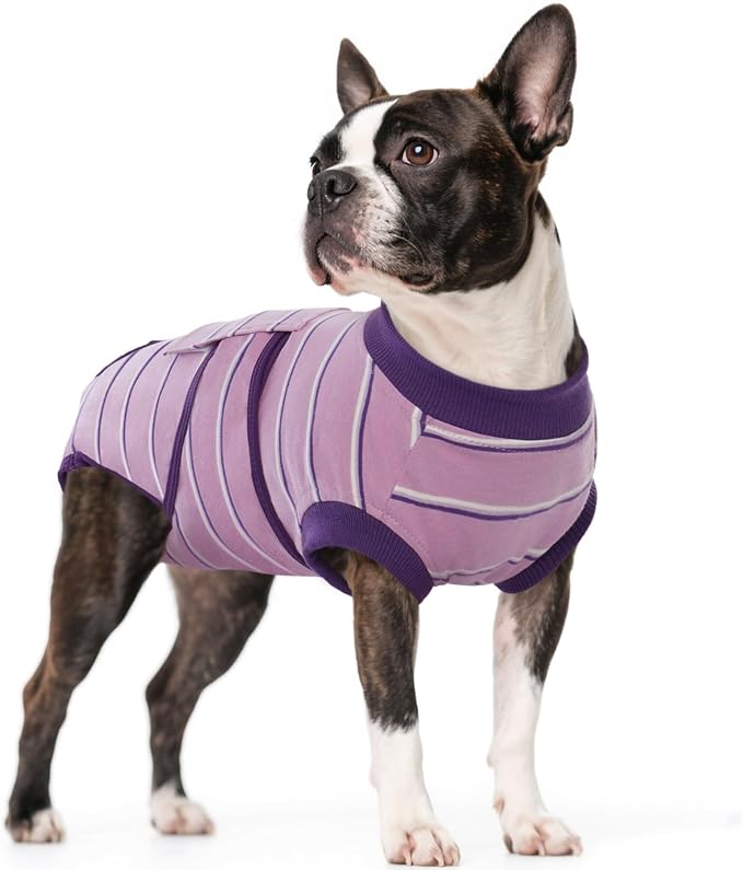 Dog Surgery Recovery Suit, Soft Breathable Dog Recovery Suit for Female Spay Male Nueuter, Anti Licking Puppy Onesie Pet Surgical Suit for Dogs Abdominal Wounds Skin Disease, Purple Strips M