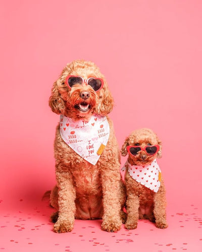 Remy+Roo Dog Bandanas - 2 Pack | Valentine's Day XOXO Dog Bandanas Set | Premium Durable Fabric | Patented Shape Bandanas for Dogs (XOXO, X-Large)