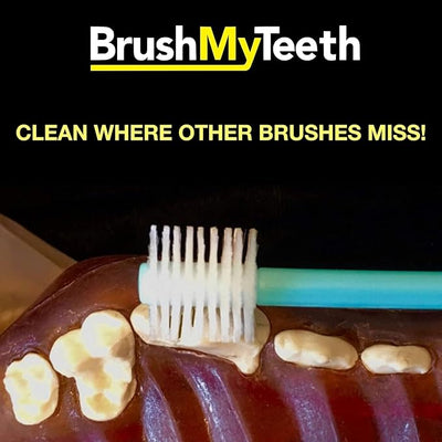 Brush My Teeth Small Dog Toothbrush, Rounded Brush Head -Soft Flexible Bristles, Safe and Gentle Brushing for Small Dogs, Small Breeds and Puppy, Daily Brushing Adds Years of Healthy Life, Multicolor
