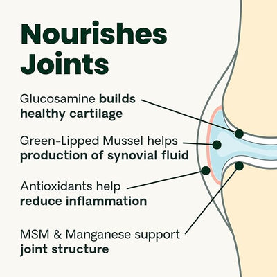 VetriScience Ultimate Strength Healthy Hip & Joint Chews, GlycoFlex Glucosamine, Chondroitin and Green-Lipped Mussel Joint Support Supplement for Dogs, Soothe Discomfort, Peanut Butter, 60 Chews