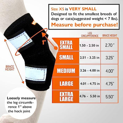 NeoAlly Cat and Dog Ankle Brace Pair Canine Rear Leg Hock Support with Safety Reflective Straps for Hind Leg Wounds Heal and Injuries and Sprains from Arthritis (XS Pair)