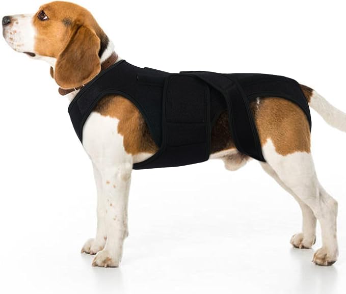 Dog Back Brace for Medium-Large Dogs - Adjustable Dog Joint Support with 5 Support Strips for Post-Op Stability & Senior Dog Mobility Aid, Black L